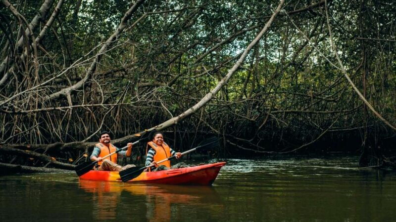 from-mancora-national-sanctuary-of-the-mangroves-tumbes