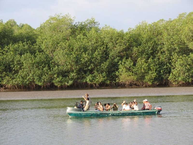 from-mancora-national-sanctuary-of-the-mangroves-tumbes