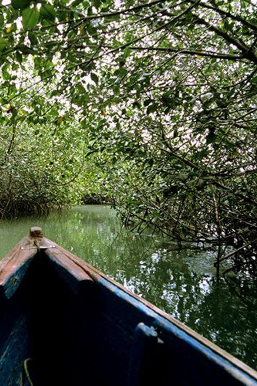 from-mancora-national-sanctuary-of-the-mangroves-tumbes