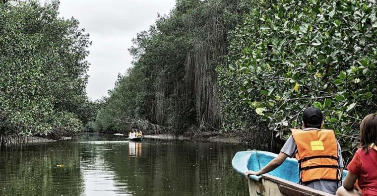 from-mancora-national-sanctuary-of-the-mangroves-tumbes