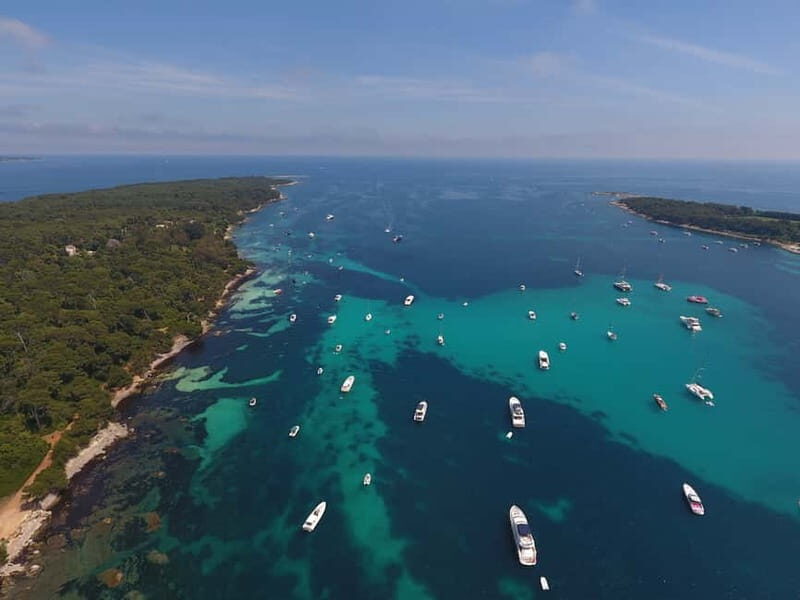 From Mandelieu: St. Marguerite Island Roundtrip Ferry Ride - Who Would Love This Tour?