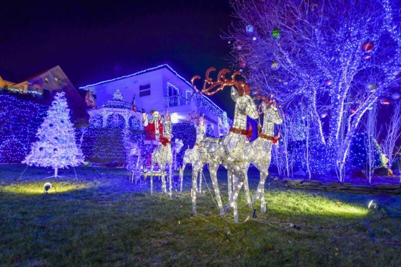 From Manhattan: 4-Hour Christmas Lights Luxury Bus Tour - Final Thoughts: Who Should Consider This Tour?
