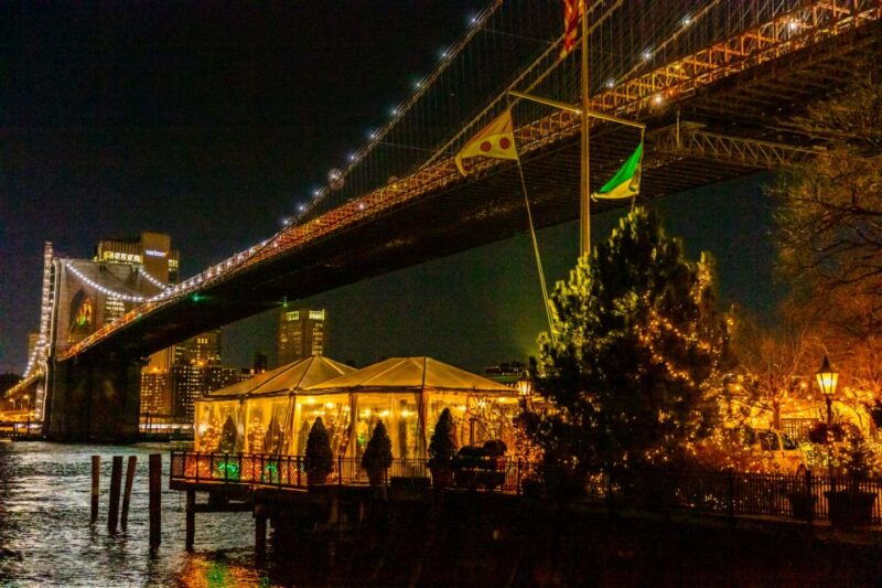 from-manhattan-4-hour-dyker-heights-holiday-lights-bus-tour