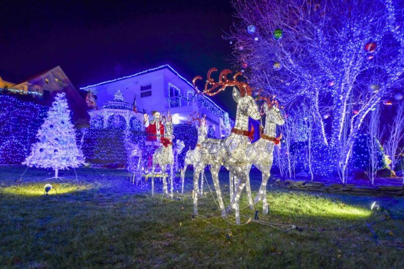 from-manhattan-dyker-heights-holiday-bus-tour