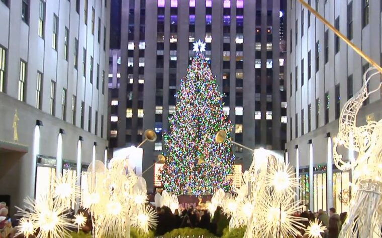 from-manhattan-dyker-heights-holiday-bus-tour