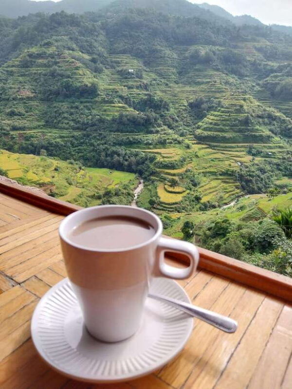 from-manila-batad-rice-terraces-and-tappiya-falls-tour-3d2n