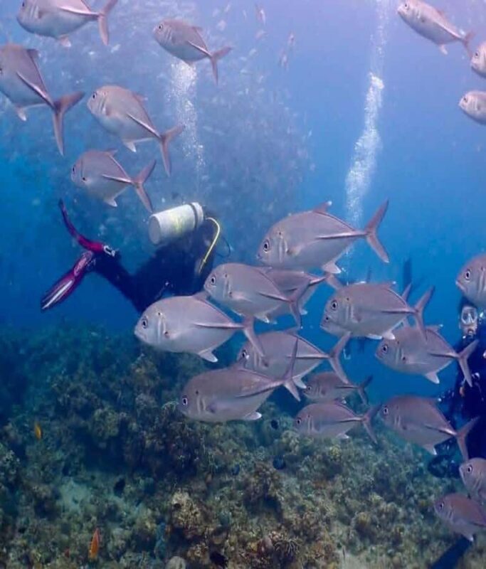 From Manila: Beginner's Scuba Diving Experience - What to Expect on Your Scuba Adventure
