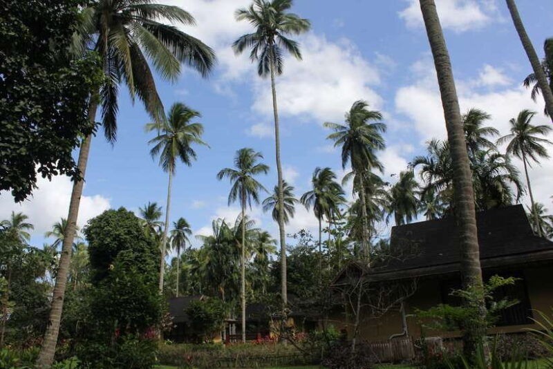 from-manila-day-tour-to-enchanting-hidden-valley
