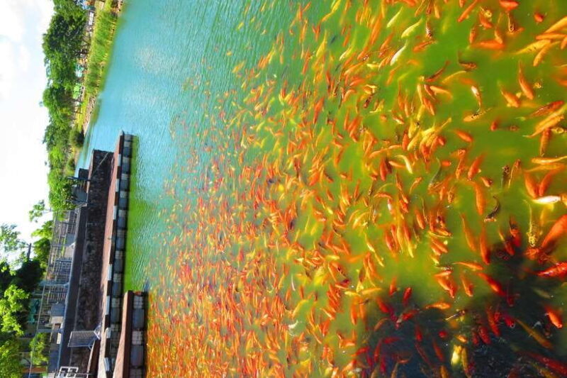 From Manila: Tagaytay Countryside Wonders: A Half-Day Tour - Final Reflection: Who Is This Tour Best For?