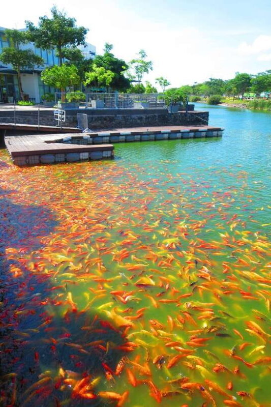 From Manila: Tagaytay Countryside Wonders: A Half-Day Tour - FAQ