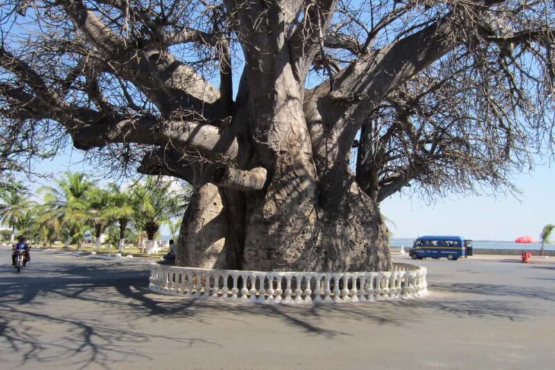 From Maputo: Swaziland Cultural Day Trip - Key Points