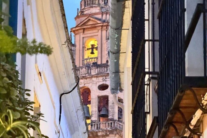 From Marbella: Cordoba Private Full-Day Trip - Authentic Insights from Past Travelers