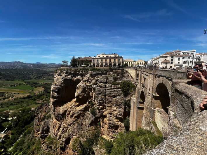 from-marbella-estepona-vip-tour-ronda-setenil-d-l-wineries