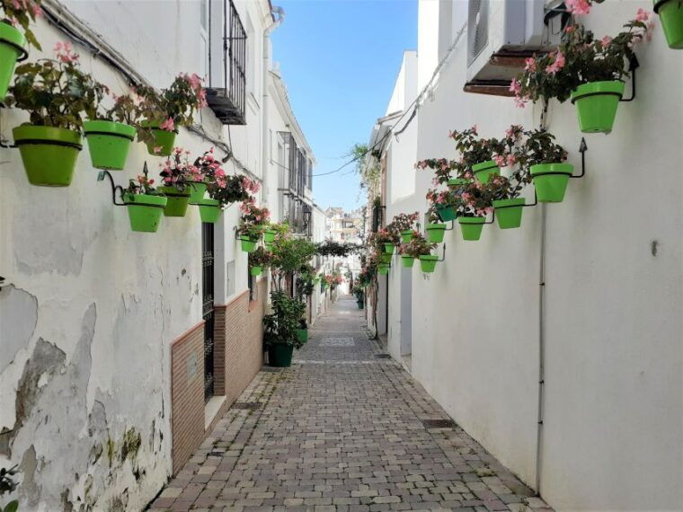 from-marbella-guided-private-trip-to-gibraltar-and-estepona