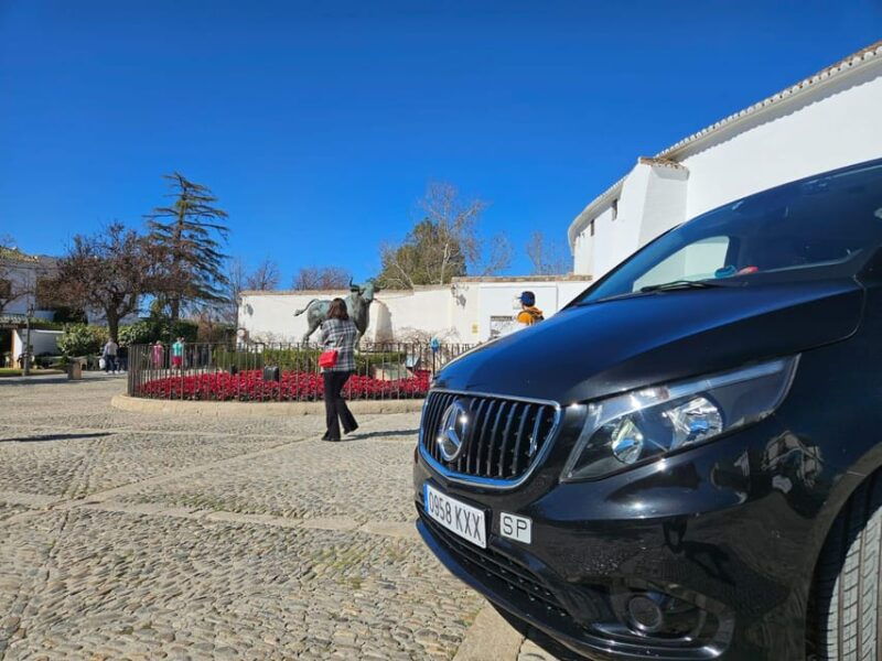 from-marbella-ronda-setenil-de-las-bodegas-private-trip
