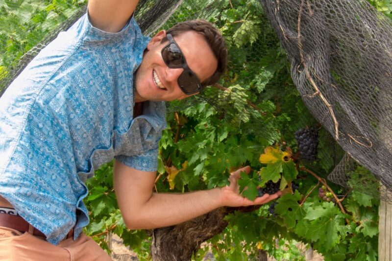 From Margaret River: Margaret River Wine Adventure - The Lunch: Gourmet Woodfired Pizzas