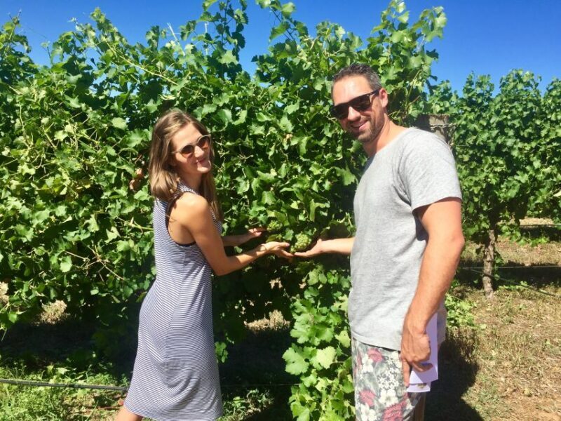 From Margaret River: Margaret River Wine Adventure - The Guides and Atmosphere