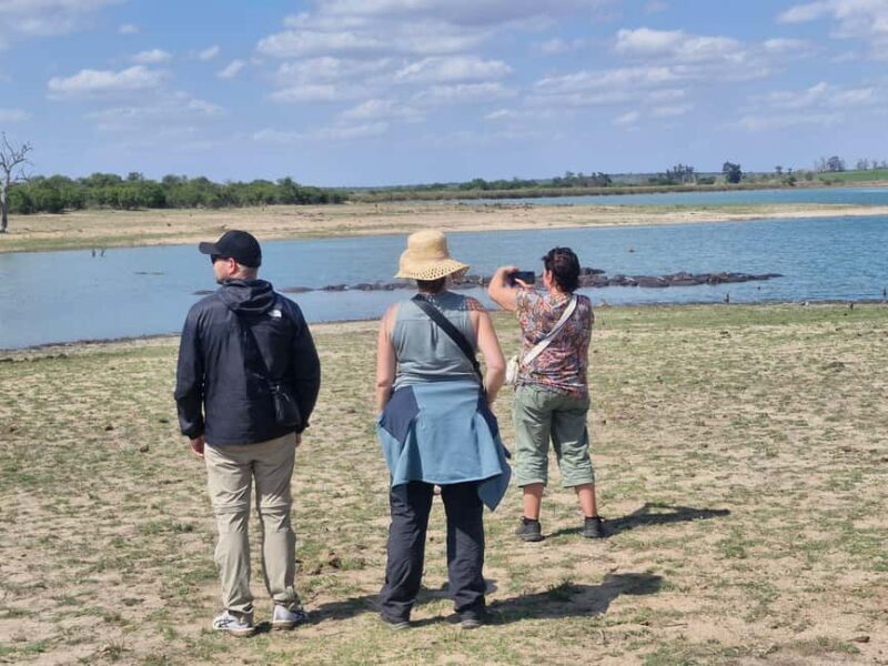 From Marloth Park: Kruger National Park Full-Day Safari - What’s Included and What to Expect