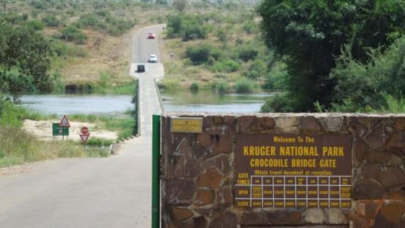 From Marloth Park: Kruger National Park Walking Safari - From Marloth Park: Kruger National Park Walking Safari - A Detailed Review  