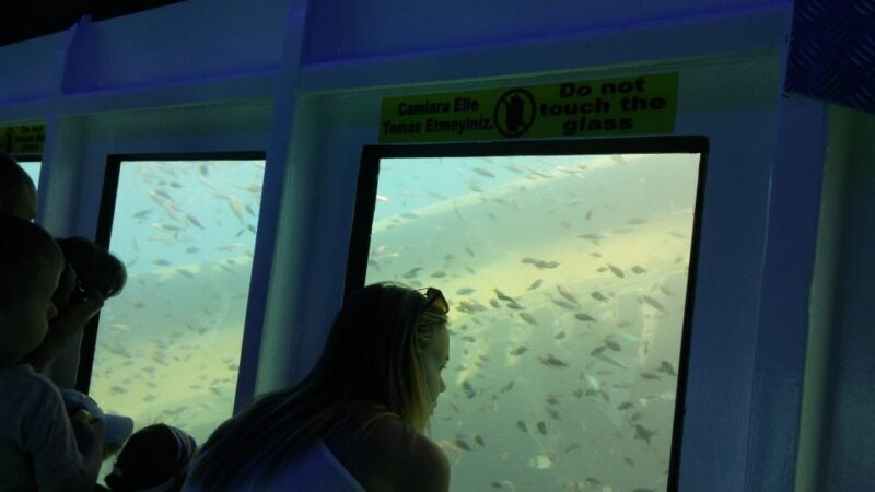 From Marmaris: Day Trip by Glass Bottom Semi Submarine - Practical Tips
