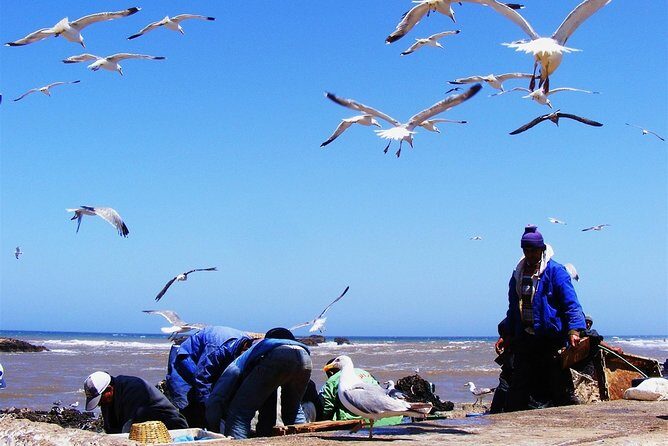 From Marrakech : 1-Day Group Trip To Essaouira - The Value and Practicality