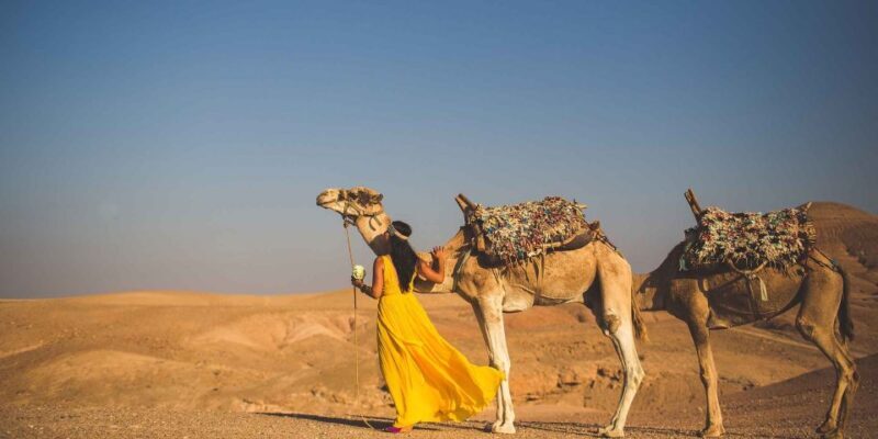 From Marrakech: 1-Hour Sunset Camel Ride in Agafay Desert - The Price and Overall Value