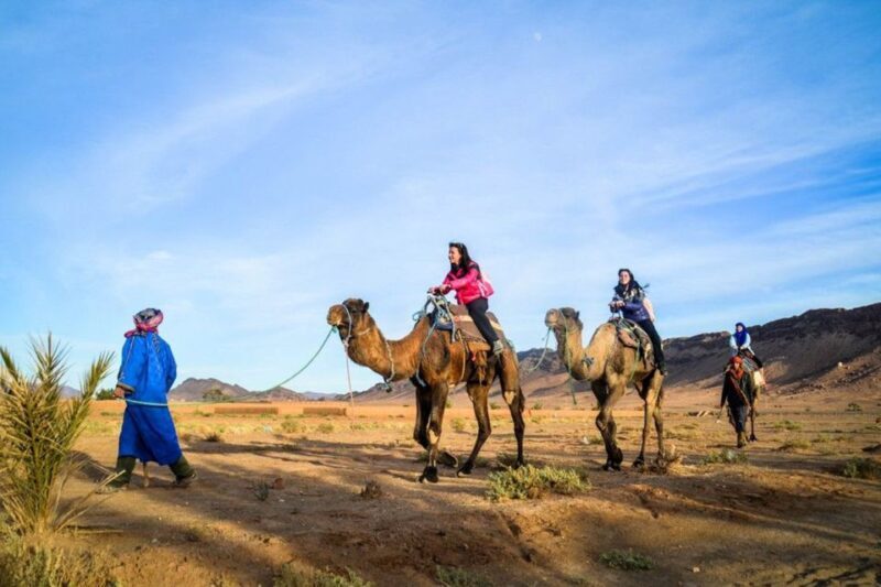From Marrakech: 2-Day Desert Excursion - The Full Experience: A Practical Breakdown of the Tour