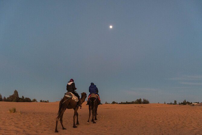 From Marrakech: 2-Day Sahara Tour to Zagora & Ait Ben Haddou - From Marrakech: 2-Day Sahara Tour to Zagora & Ait Ben Haddou