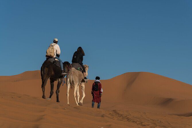 From Marrakech: 2-Day Sahara Tour to Zagora & Ait Ben Haddou - The Sum Up