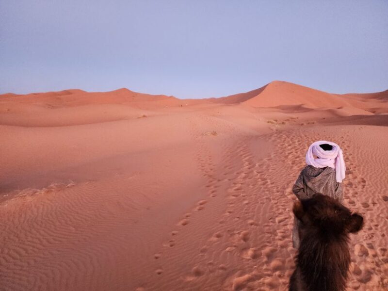 From Marrakech: 2-Day Trip to Ouarzazate & Merzouga w/ Meals - Final Thoughts: Is This Tour for You?