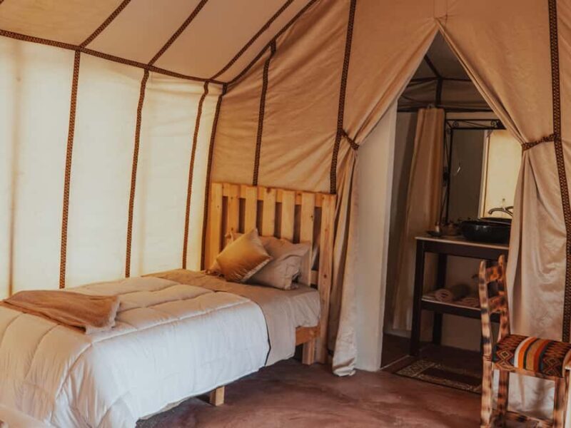 From Marrakech: 2-Day Zagora Desert Camp Trip - Who Will Love This Tour?