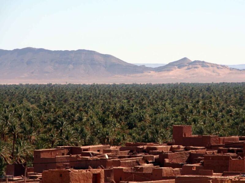 From Marrakech: 2-Day Zagora Desert Trip - Authenticity and Value