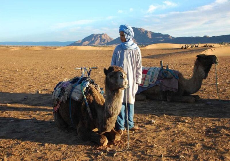 From Marrakech: 2-Day Zagoura Desert Camp with Camel Ride - FAQ