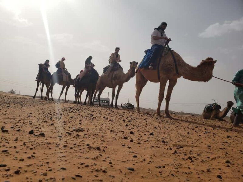 From Marrakech 2 Days sahara Tour To Zagora Desert & Kasbahs - Key Points  