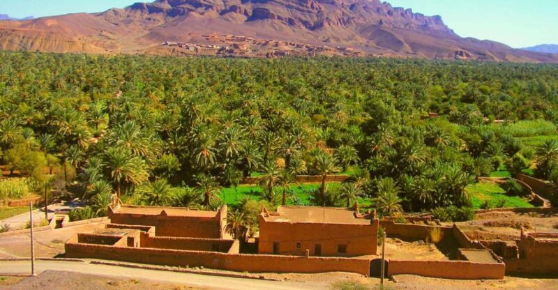 From Marrakech: 2 Days Zagora Desert Safari with Food & Camp - What’s Included and What’s Not