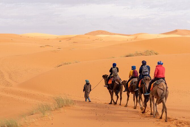 From Marrakech: 3-Day, 2-Night Merzouga Dunes Desert Trip - Authentic Experiences and Insights from Reviewers