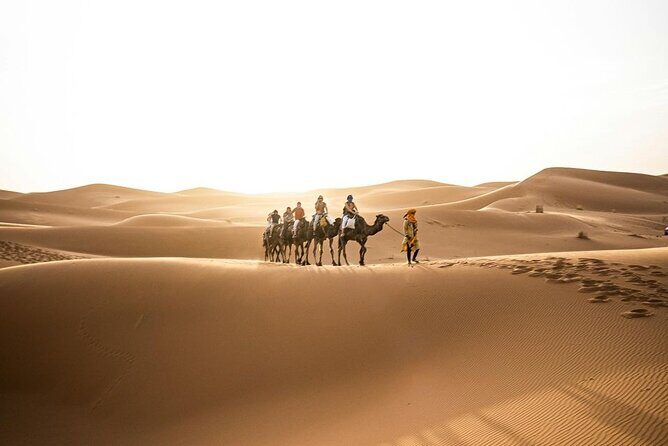 From Marrakech 3-Day Desert Tour to Agadir - Final Thoughts