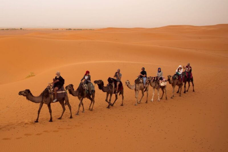 From Marrakech: 3-Day Desert Tour to Fes via Erg Chebbi - Day Two: Into the Desert