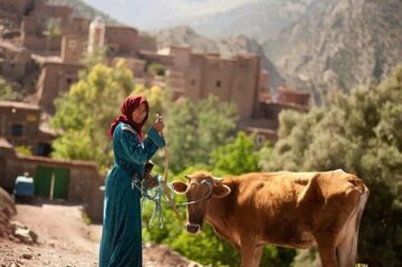 From Marrakech : 3 Day Hike in High Atlas Mountains - A Closer Look at the 3-Day Mountain Trek