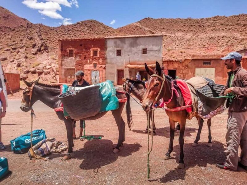 From Marrakech : 3 Day Hike in High Atlas Mountains - Final Thoughts