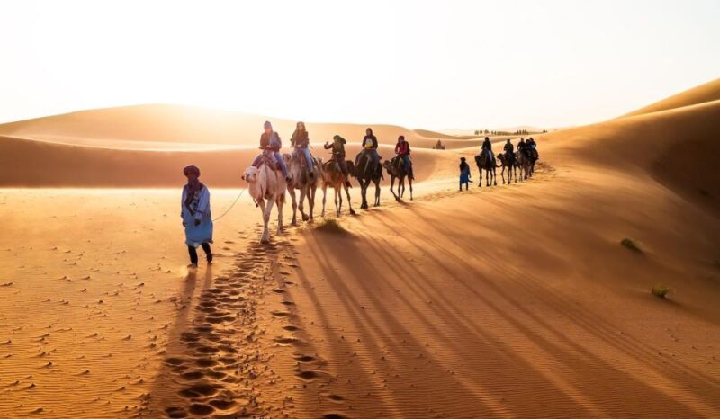 From Marrakech: 3-Day Luxury Desert Tour to Fes via Merzouga - Key Points