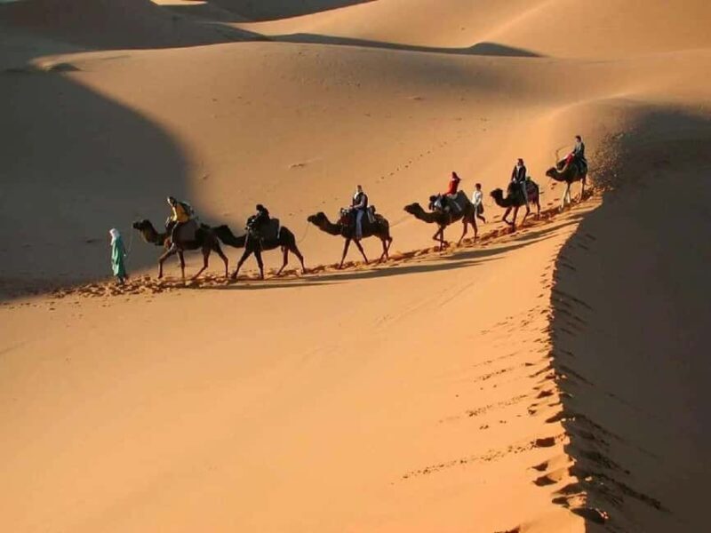 From Marrakech: 3-Day Luxury Desert Tour to Fez Via Merzouga - Authentic Experiences and Insider Tips from Reviewers