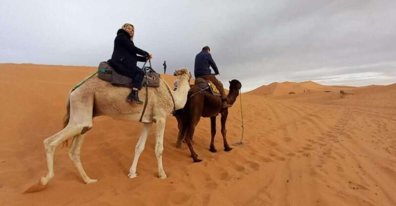 From Marrakech: 3-Day Merzouga and Sahara Desert Camel Trip - Key Points
