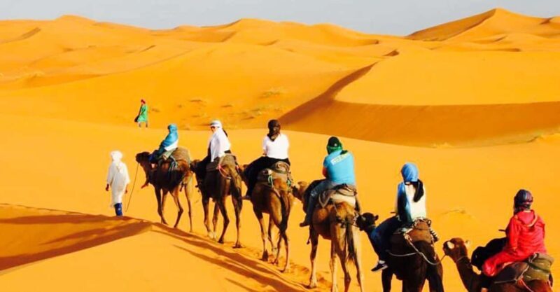 From Marrakech: 3-Day Merzouga and Sahara Desert Camel Trip - The Long Road Home: Marrakech in a Day