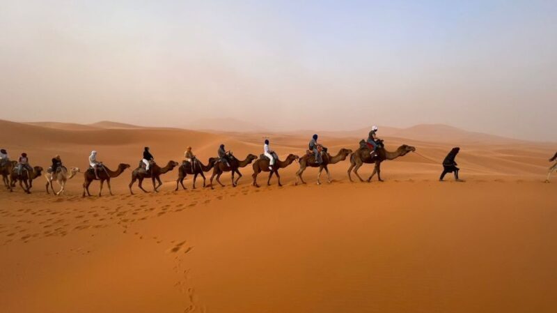 From Marrakech: 3-Day Merzouga Desert Tour with Camel Ride - Food & Dining