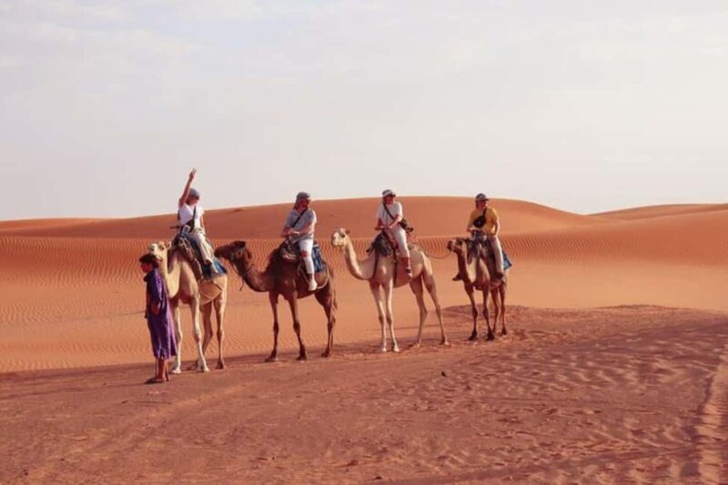From Marrakech : 3 Day Stay in Merzouga Desert - Key Points