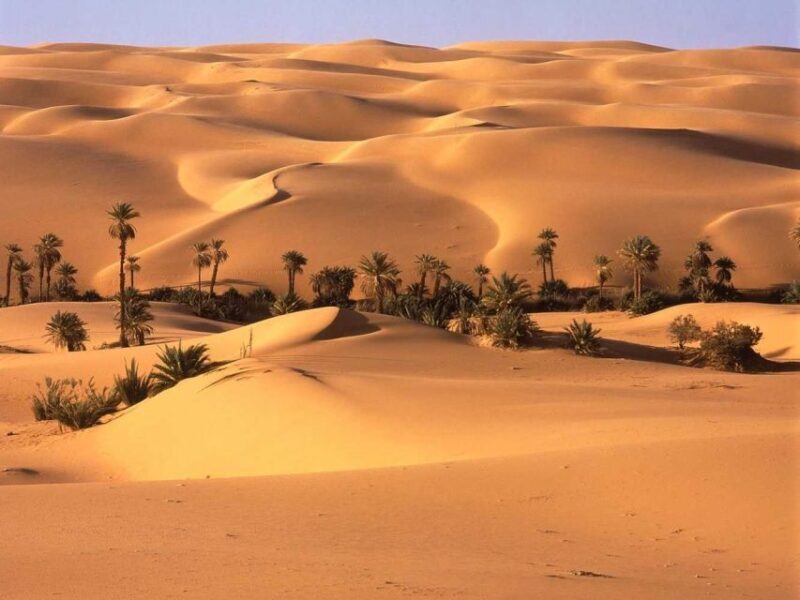 From Marrakech :3-Day Students Group Tour To Merzouga - Practical Tips for Making the Most of Your Trip