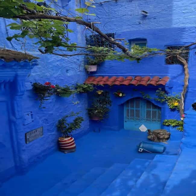 From Marrakech: 3-Day Tour to Fes and Chefchaouen - Overview of the Tour Experience