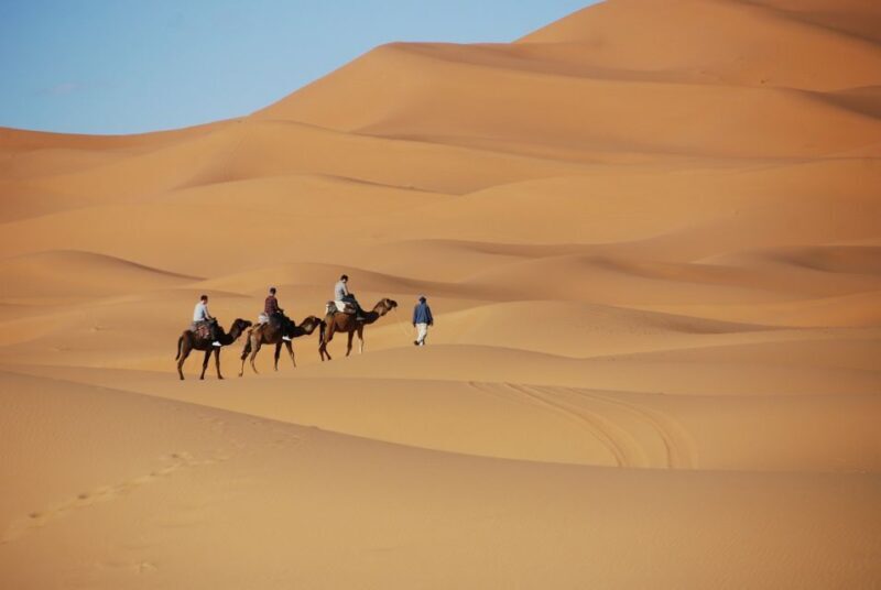 From Marrakech : 3 Days 2 Nights To Sahara Merzouga desert - Final Thoughts