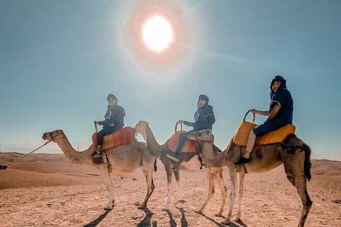 From Marrakech 3 Days Merzouga Sahara Desert Tour luxury - The Itinerary Breakdown: What to Expect Each Day
